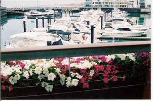 C:\Users\shaun\Documents\memory stick\New folder\New Australia\web australia photos\The beautiful marina at Glenelg in Adelaide..jpg